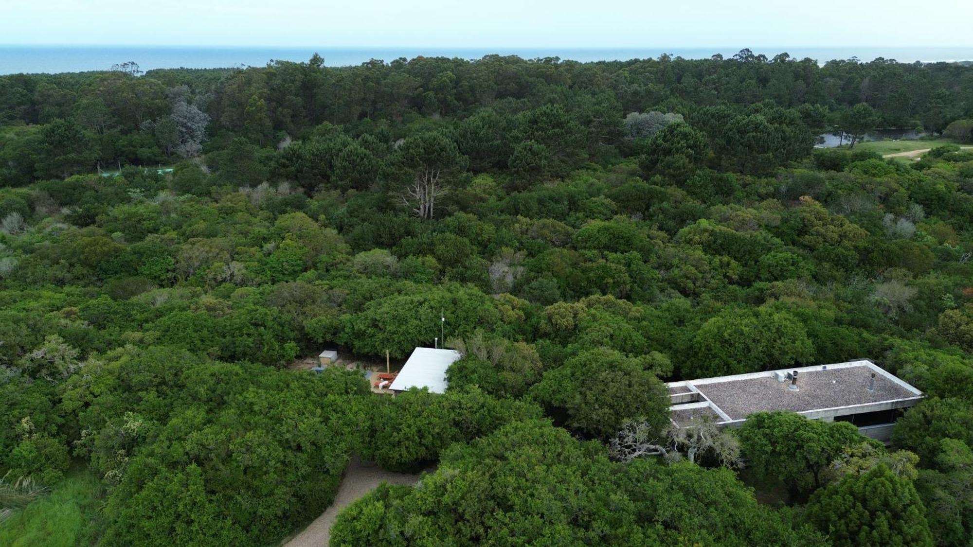 Casa Lobo Villa La Pedrera Eksteriør billede